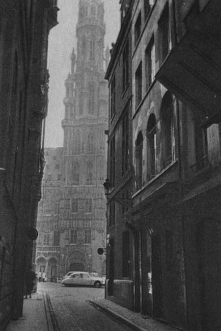 Тюльпаны, колокола, ветряные мельницы - _56.jpg