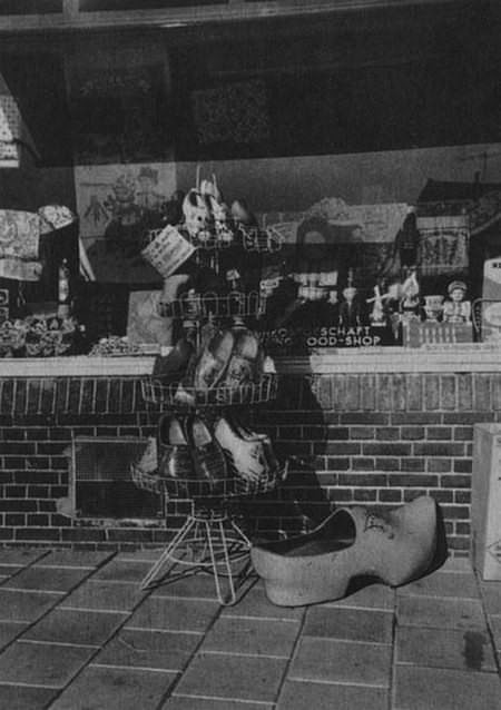 Тюльпаны, колокола, ветряные мельницы - _17.jpg