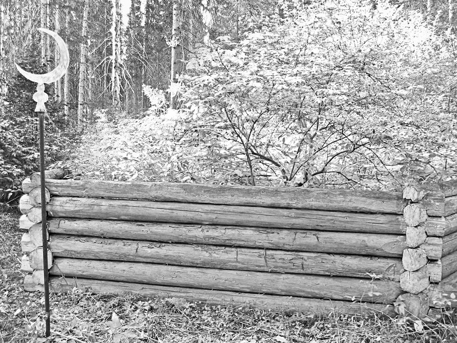 Дебри - i_024.jpg