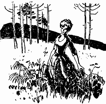 Бабье лето (повесть и рассказы) - i_007.png