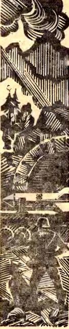 Польский пароль - i_003.jpg