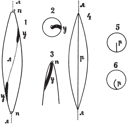 Все о рыбалке (сборник) - _27.png