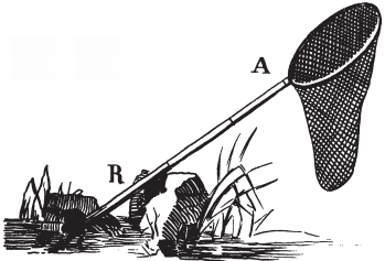 Все о рыбалке (сборник) - _33.png