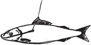 Все о рыбалке (сборник) - _40.png