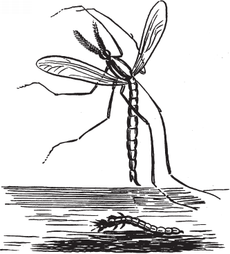 Все о рыбалке (сборник) - _80.png