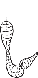 Все о рыбалке (сборник) - _84.png