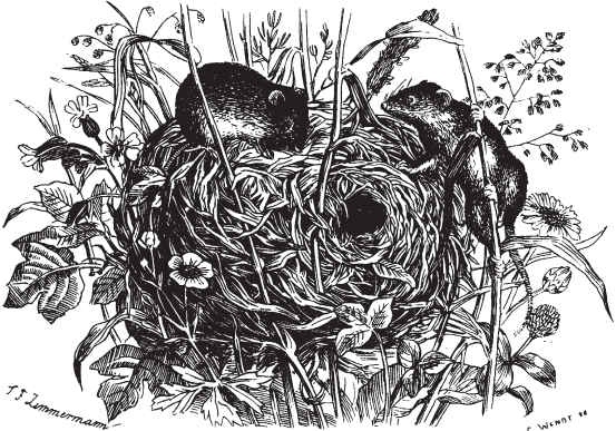 Все о рыбалке (сборник) - _152.png