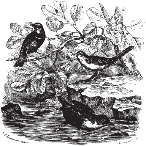 Все о рыбалке (сборник) - _153.png