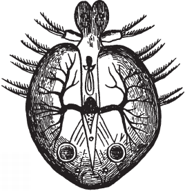 Все о рыбалке (сборник) - _166.png