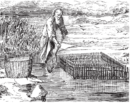 Все о рыбалке (сборник) - _174.png