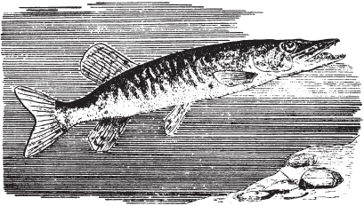 Все о рыбалке (сборник) - _189.png