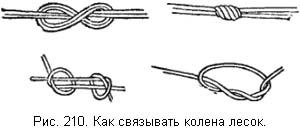 Жизнь и ловля пресноводных рыб - ris210.jpg