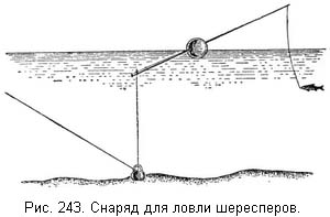 Жизнь и ловля пресноводных рыб - ris243.jpg