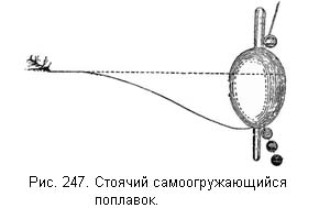 Жизнь и ловля пресноводных рыб - ris247.jpg