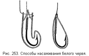 Жизнь и ловля пресноводных рыб - ris253.jpg