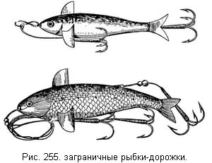 Жизнь и ловля пресноводных рыб - ris255.jpg