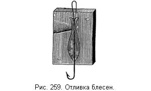 Жизнь и ловля пресноводных рыб - ris259.jpg