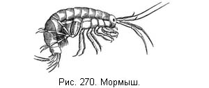 Жизнь и ловля пресноводных рыб - ris270.jpg