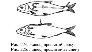 Жизнь и ловля пресноводных рыб - ris224225.jpg