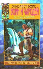 Воин и чародей - автор Бойе Элизабет 