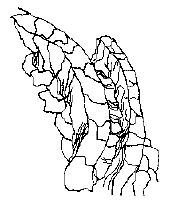 Тайны Атлантиды - _15.jpg