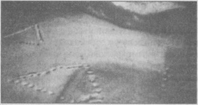 Тайны подземного мира - i_061.jpg