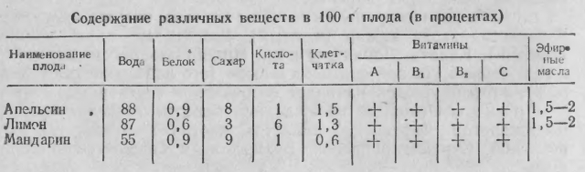 Узбекские блюда - t04.jpg