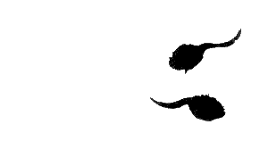 Взгляд кролика - i_007.png