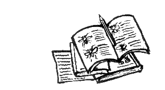 Взгляд кролика - i_023.png