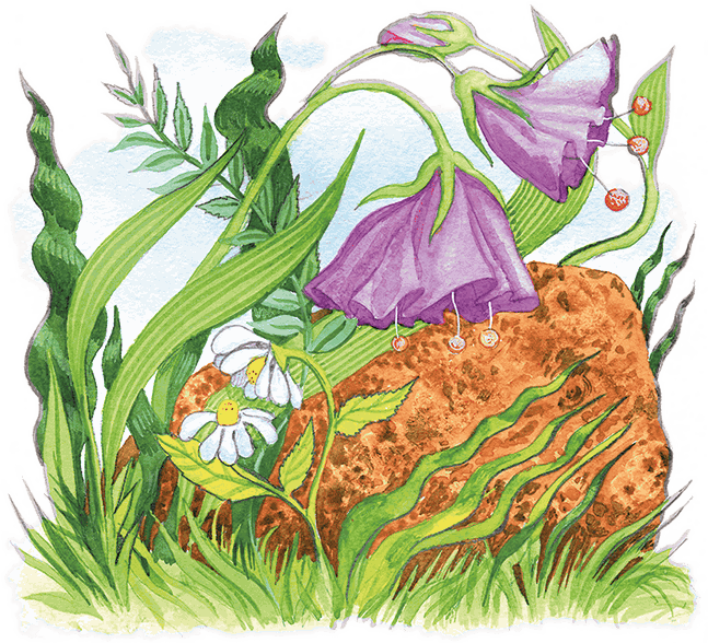 Учитель вранья - i_116.png