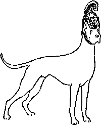 Истинный дог - i_002.png