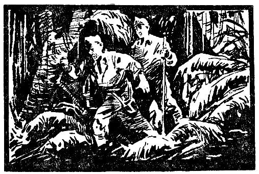 Зубы дракона - pic_3.jpg