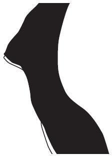 Откровенный разговор про это с подростком - i_045.jpg