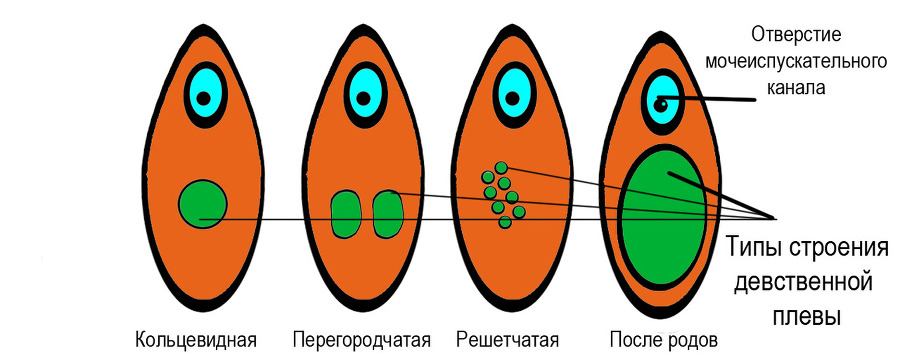 Половое воспитание детей и подростков - image8_55f6895d4b46621515a73a1e_jpg.jpeg