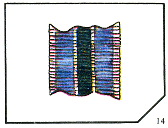 Наградная медаль. В 2-х томах. Том 2 (1917-1988) - Lenty14.png