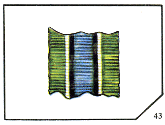 Наградная медаль. В 2-х томах. Том 2 (1917-1988) - Lenty43.png
