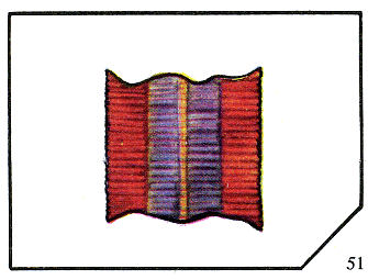 Наградная медаль. В 2-х томах. Том 2 (1917-1988) - Lenty51.png