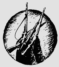 Наградная медаль. В 2-х томах. Том 2 (1917-1988) - bw05.png