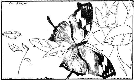 Орнитоптера Ротшильда - i_010.jpg