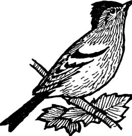 Певчие птицы - i_002.png