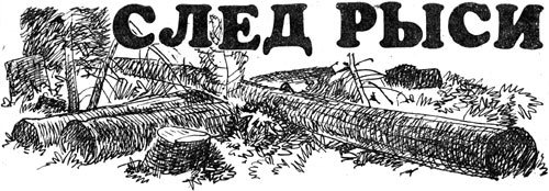 След рыси - i_005.jpg