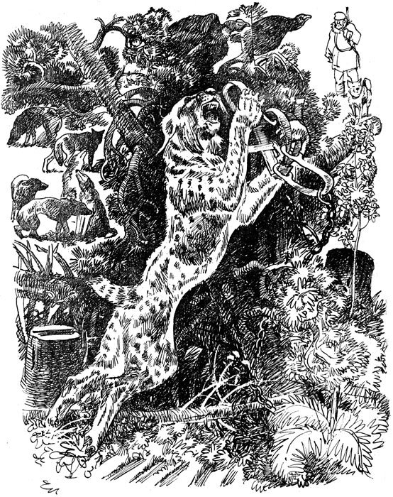 След рыси - i_006.jpg