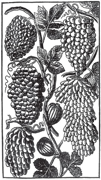 Пир Джона Сатурналла - i_002.jpg