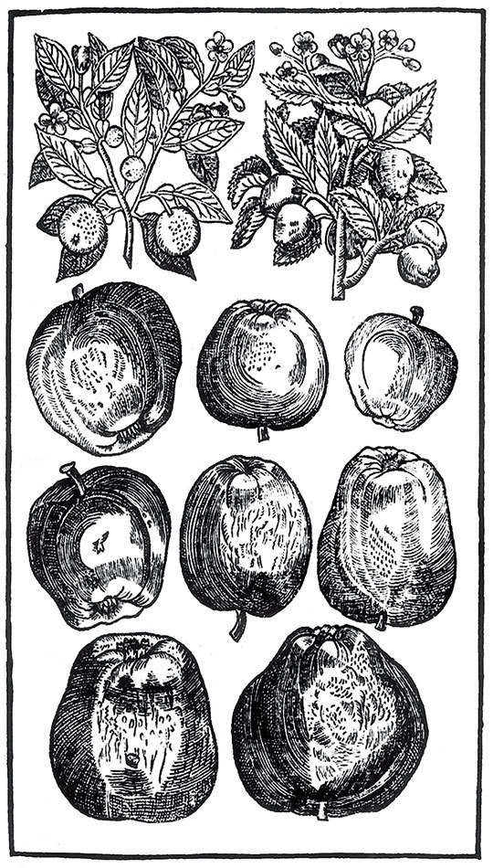 Пир Джона Сатурналла - i_014.jpg