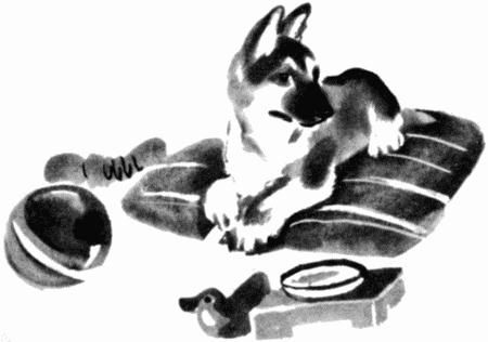 Юный дрессировщик - i_003.png