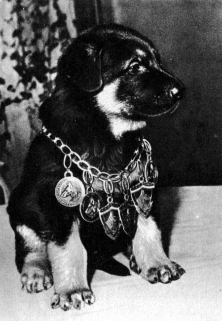 Юный дрессировщик - i_005.jpg