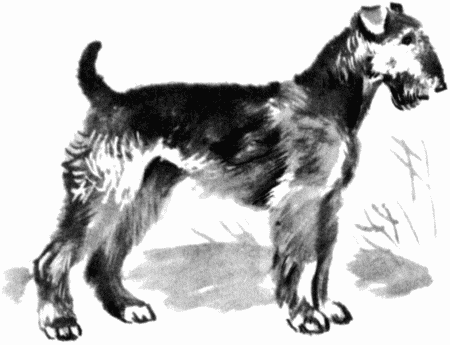 Юный дрессировщик - i_008.png