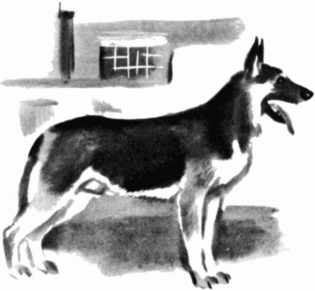 Юный дрессировщик - i_009.png