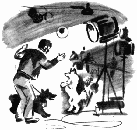 Юный дрессировщик - i_020.png