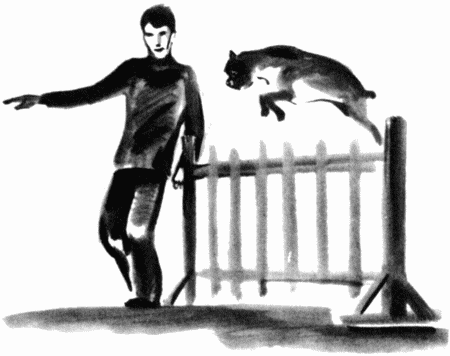 Юный дрессировщик - i_029.png